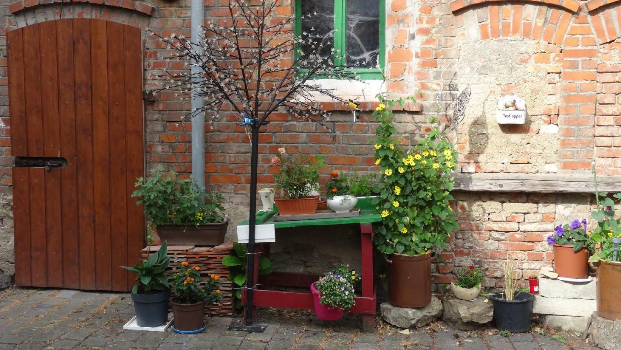 Pension Und Gaestehaus Paffrath Grossbrembach ภายนอก รูปภาพ